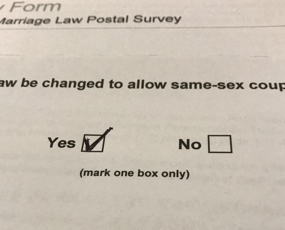 I voted yes
